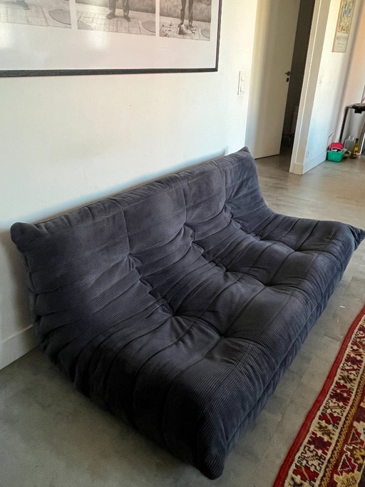 Togo 3-Sitzer-Sofa aus blauem Cord, entworfen von Michel Ducaroy für Ligne Roset – 3 5 zitsbanken, Velvet (photo 2 of 6)