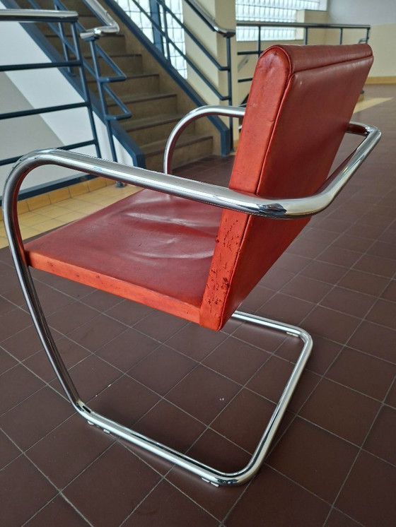 Image 1 of tubular frame armchair Brno design Mies van der Rohe