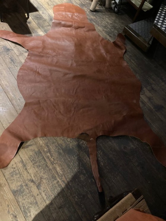 Véritable peau de zèbre, Tapis, Cuir, Noir, Anders (photo 3 sur 5)