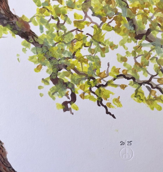 Young Green – Peintures et dessins, Paper (photo 3 of 6)