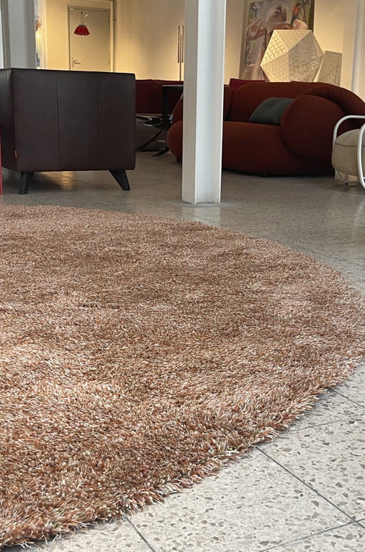 Brink & Campman WK Wohnen Teppichboden Rund 360