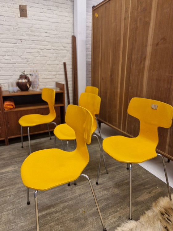 Fritz Hansen "Hammer" Sedie da pranzo (5) Modello 3103 – Arne Jacobsen (1974) – Metal, Wood, Vintage (photo 3 of 11)