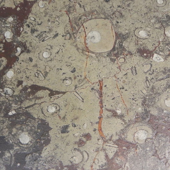 Image 1 of Table basse Ronald Schmitt 'Fossils' années 1980, 70 x 70 cm