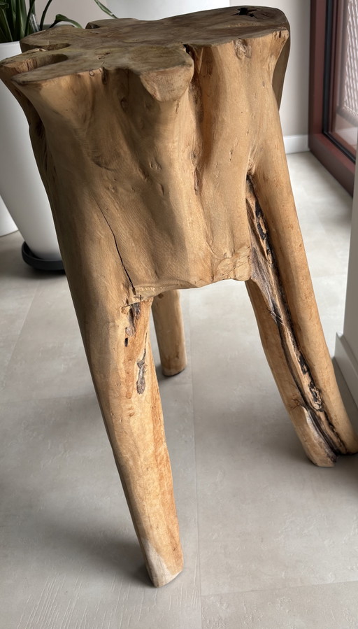 Grillige unieke plantentafel teakhout 