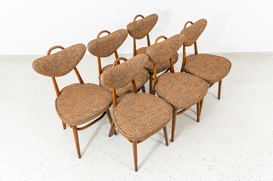 Image 1 of Satz von 6 Esszimmerstühlen Nr. 124 von H&J Kurmanowicz, Polen, 1950er Jahre