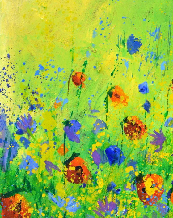Image 1 of Red poppies, blue cornflowers