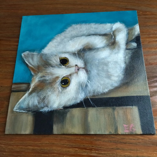 Cuadro de gato acostado