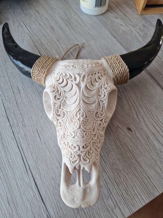 Image 1 of Teschio di bufalo d'acqua inciso (poliresina)
