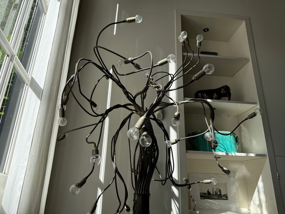 Image 1 of Catellani & Smith - Albero Della