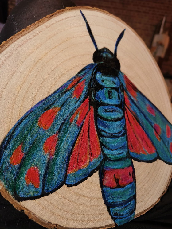 Image 1 of Disco de madera de tronco de árbol con mariposa de colores pintada