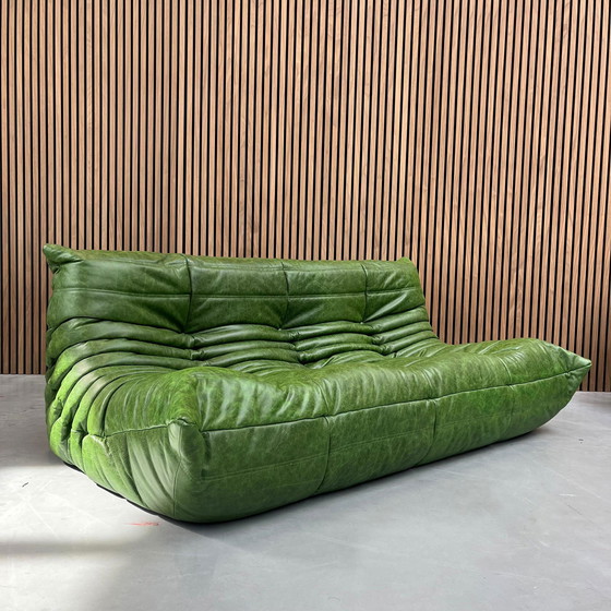 Image 1 of Ligne Roset Togo - 3-Sitzer grünes Leder