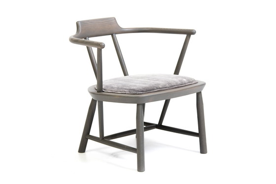 Image 1 of Sedia da pranzo Linteloo Oiseau