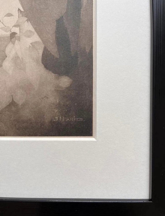 Image 1 of Jan Mankes 1889-1920 / Héliogravure originale Corbeau à Berkenboom 1923