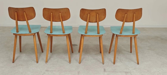 Lot de 4 chaises en bois bleu clair TON Bystrice (Thonet), lot 2. – Chaises de salle à manger, Wood (photo 16 of 22)