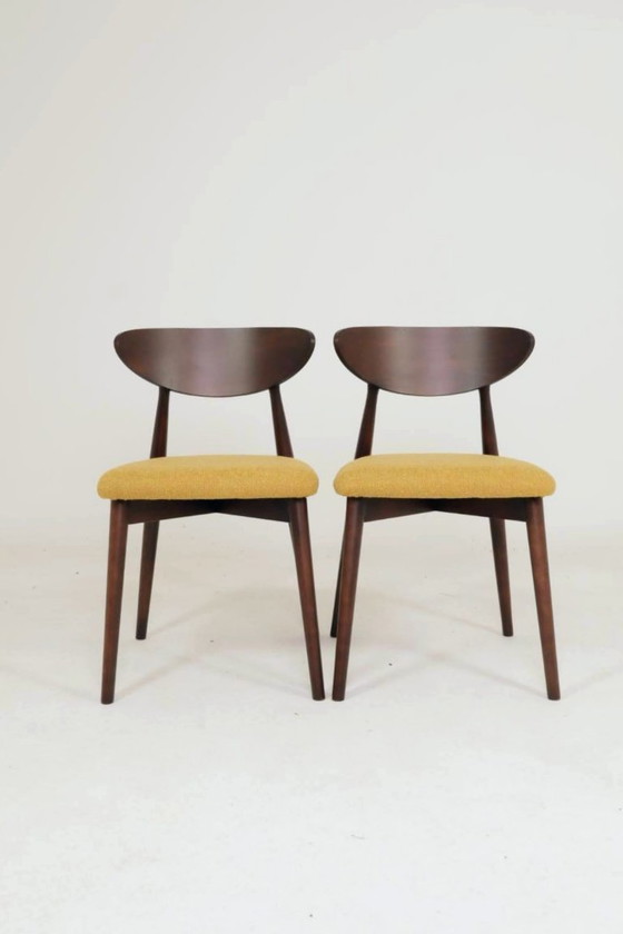 Image 1 of Set moderno di 4 sedie da pranzo, in bouclé color ocra e legno di faggio noce scuro.