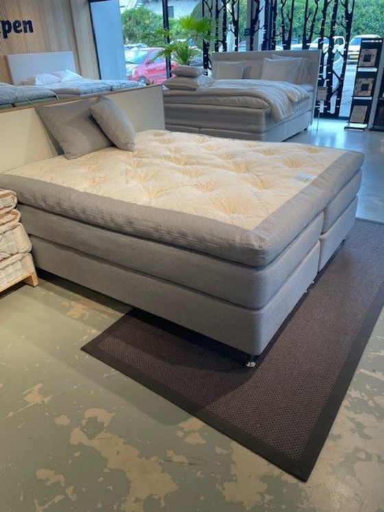 Image 1 of Ecolife - Agave Continental