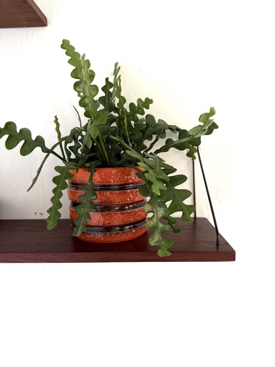 Image 1 of Set of 2 vintage teak wall shelves '60s