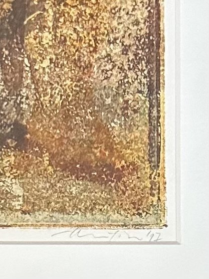 Image 1 of Thea Figee (1952) Monotype - Monotype sans titre "97"