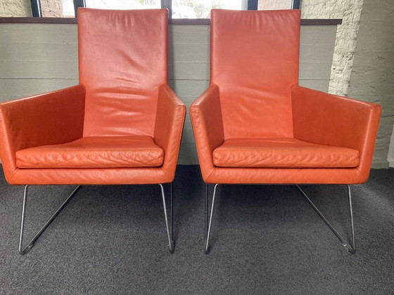 Image 1 of 2x Label chairs DON cognac Gerard van den Berg