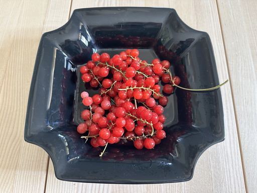 Fruchtmuster Delfter Steingut Farbe schwarz