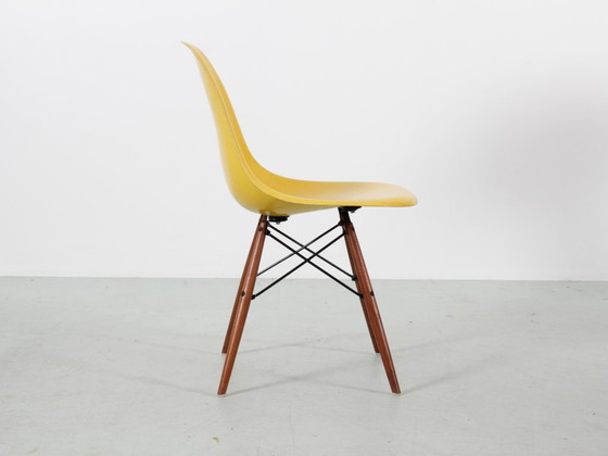 Set van 4 DSW Charles Eames stoelen - Gele glasvezel Herman Miller editie – Eetkamerstoelen, Fiberglass (photo 11 of 18)