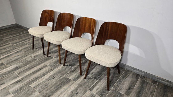 Image 1 of Dining Chairs by Oswald Haerdtl, Set of 4