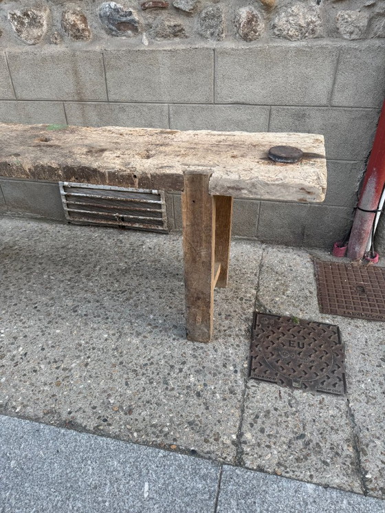 Image 1 of Established