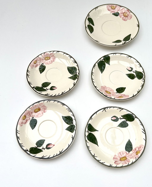 Título para Whoppah Villeroy & Boch “Wild Rose” – Juego de 6 platillos, porcelana pintada a mano