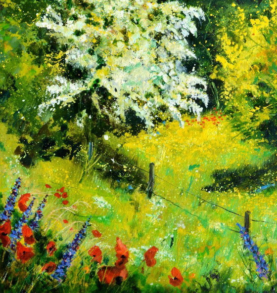 Image 1 of Blooming hawthorn