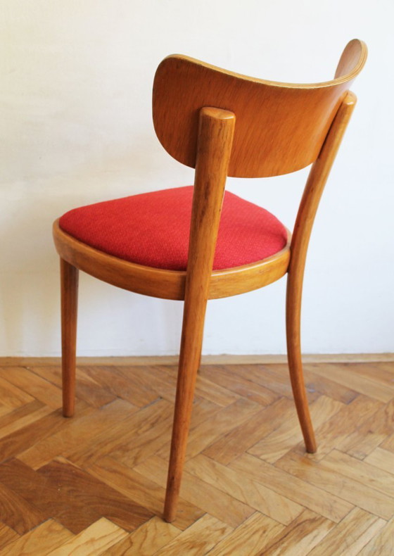 Image 1 of Juego de cuatro sillas de comedor Thonet, finales de la década de 1940