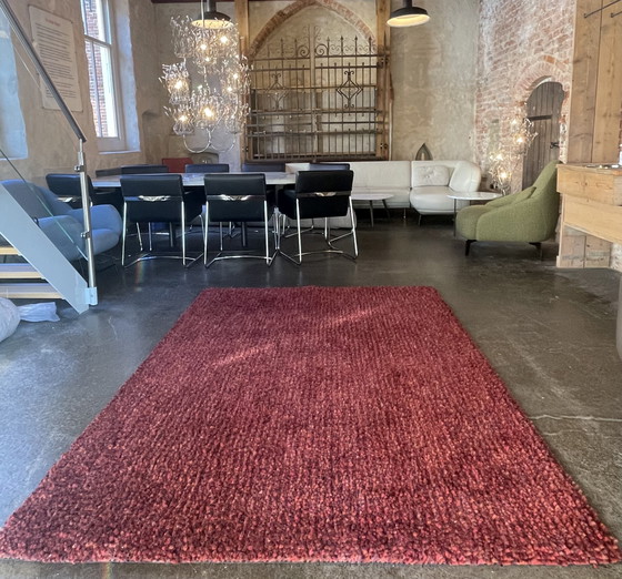 Image 1 of Rescue of carpets from Brink and Campman Dots