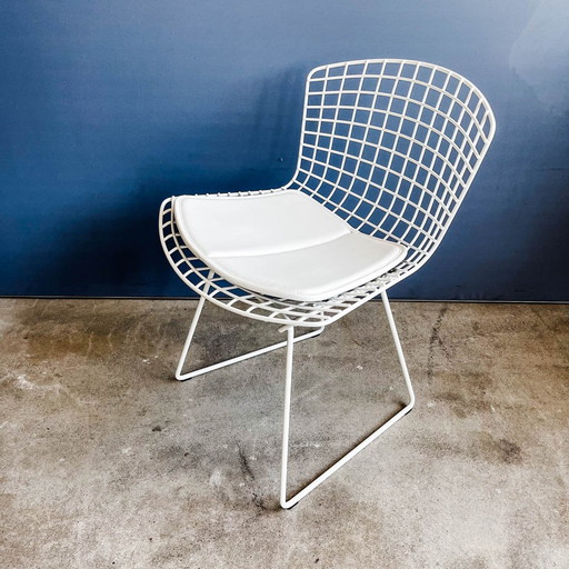 Knoll International - Chaise Bertoia - Rilsan/Vinyl Blanc - Nouveau !