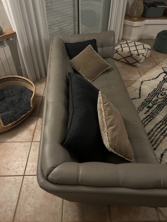 Image 1 of Divano in pelle Roche Bobois