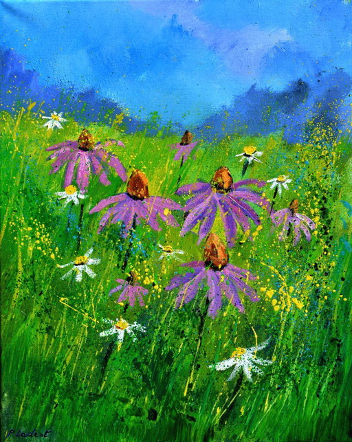 Rudbeckias 45