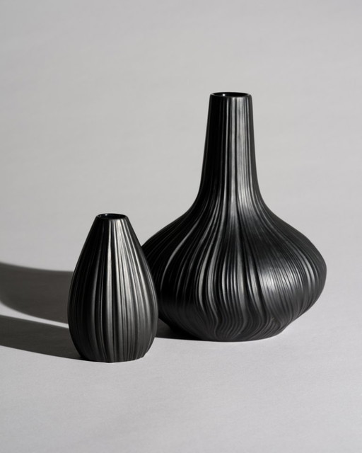 Rosenthal Porcelaine Noire “Plissée” Curated Duo by Martin Freyer Matte Black