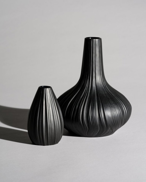 Image 1 of Rosenthal Porcelaine Noire “Plissée” Curated Duo by Martin Freyer Matte Black