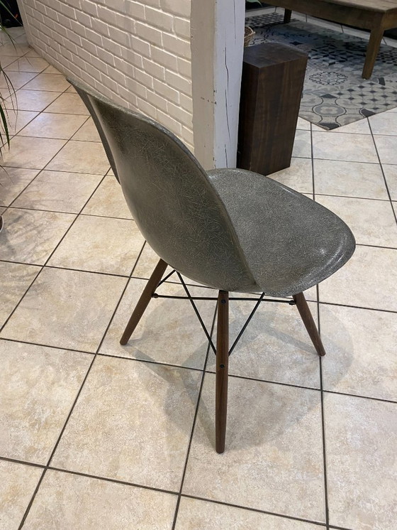 Image 1 of Sedia DSW, fibra grigio elefante, noce tassello, Eames Herman Miller vintage 1950