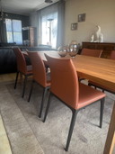 Stoelen Cattelan Italia model Arcadia