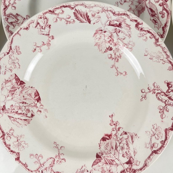 Image 1 of Set di Piatti Piani Lunéville Terre de Fer da 6 KG, "Fontainebleau", Rosa, XIX Secolo