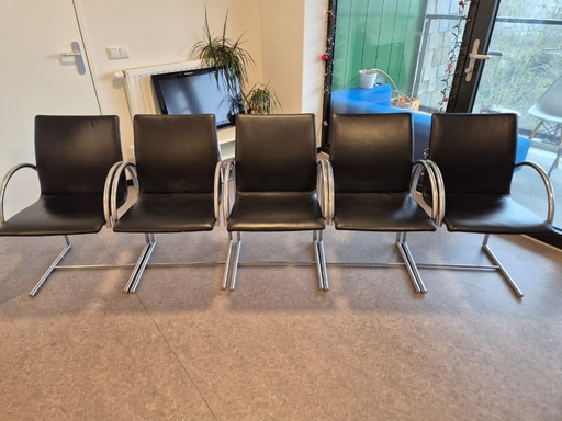 5 sedie da pranzo circolari Metaform