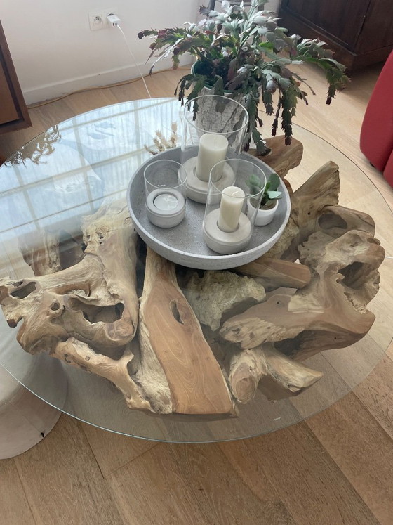 Image 1 of Coffee table Mangrove roots