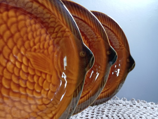 6 fish plates fish shape majolica from Sarreguemines 1960 / France