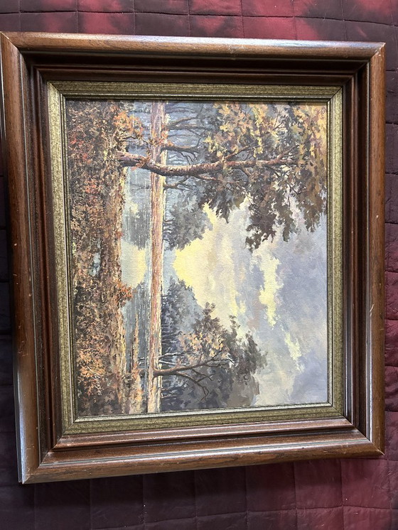 Image 1 of 2 cuadros de paisajes holandeses.