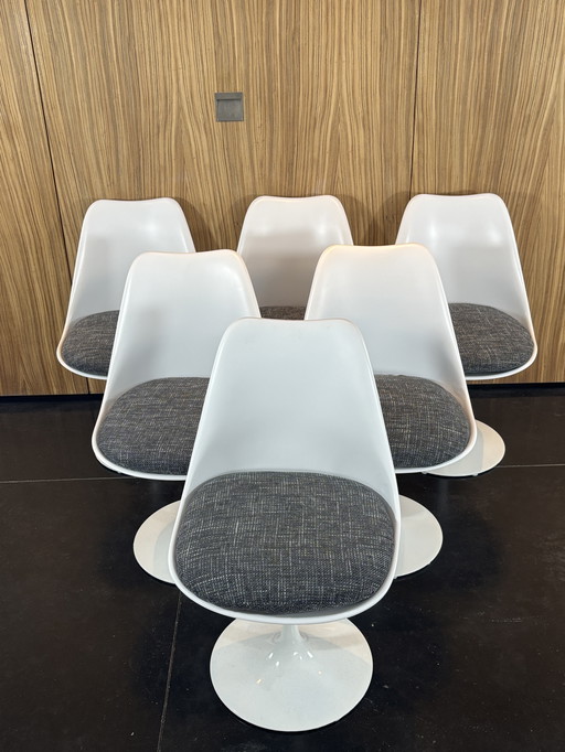 6 x Tulpenstoelen Eero Saarinen Knoll Internationaal