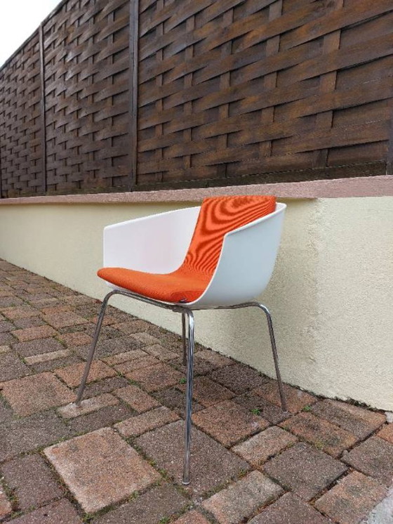 Image 1 of Sillas Carlo Colombo