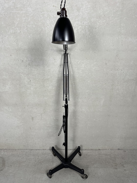 Image 1 of Original Anglepoise Herbert Terry 1209 - lámpara de pie - años 40