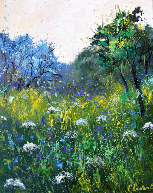 White and blue wild flowers