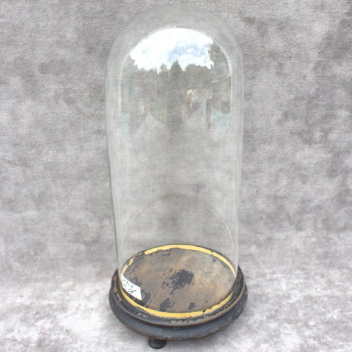 Antique round French Glass dome 13. 58 x 5.91 inch bell jar 34,5 x 15 cm Victorian era cloche taxidermy steampunk Display mouth 