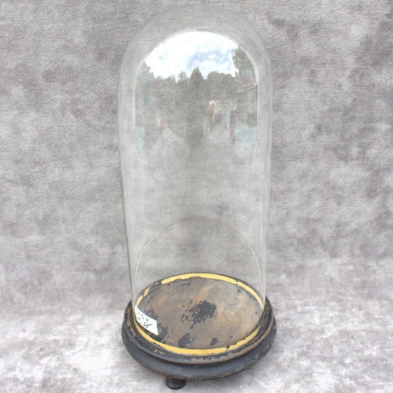 Image 1 of Antique round French Glass dome 13. 58 x 5.91 inch bell jar 34,5 x 15 cm Victorian era cloche taxidermy steampunk Display mouth 