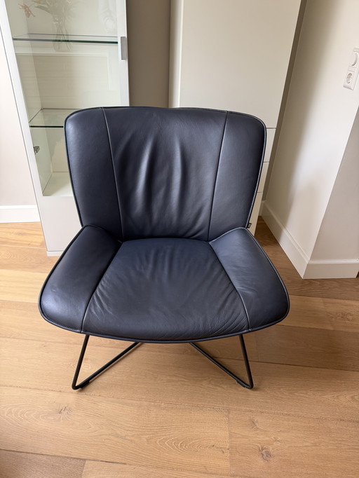 Rolf Benz Leather Armchair Dark Blue